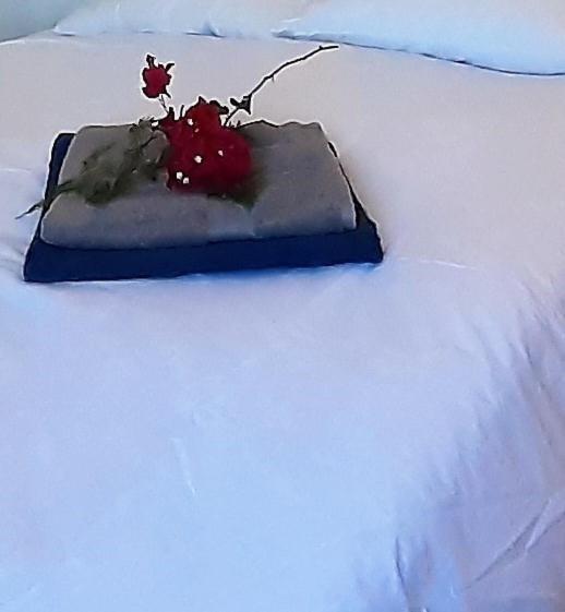 Pedralba Casa Loro Loco B&B المظهر الخارجي الصورة